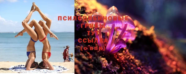 стаф Армянск